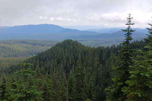 Washington 